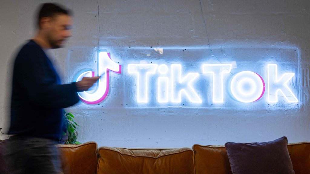 TikTok Video Saver